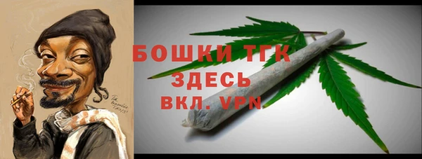 хмурый Арсеньев