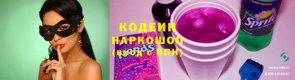 хмурый Арсеньев