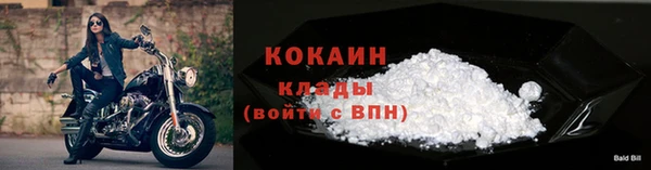 хмурый Арсеньев