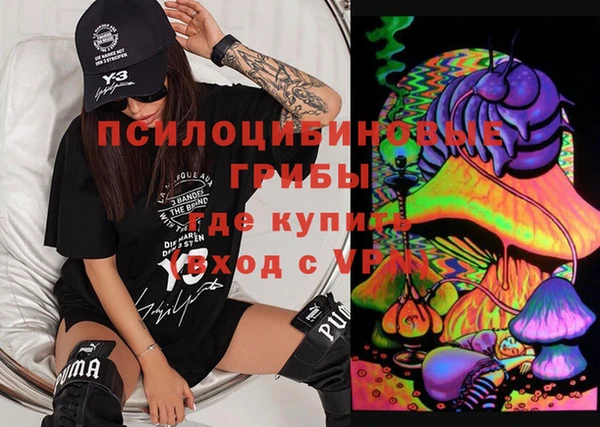 хмурый Арсеньев